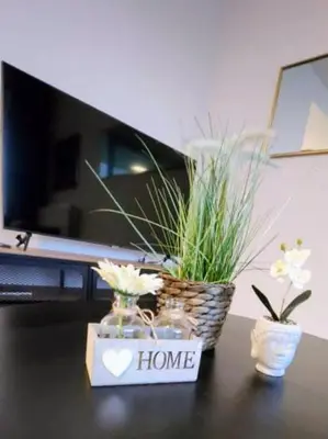 a desk with a computer and some plants on it at BRUSSELS EXPO APARTMENT in Brussels