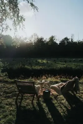 two dogs standing next to a bench in a field at Bleyckhof in een uniek natuurgebied in Ranst