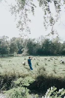 a person walking in a field with a herd of sheep at Bleyckhof in een uniek natuurgebied in Ranst
