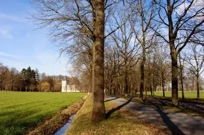 a path in a park with trees and grass at De Kasteelhoeve in Westmalle