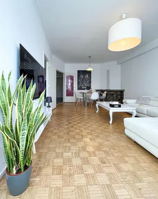 a living room with white furniture and a potted plant at Cosy two bedroom apartment in Brussels in Brussels