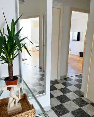 a hallway with a glass table and a potted plant at Cosy two bedroom apartment in Brussels in Brussels