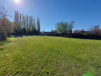 a large field of grass with trees in the background at Luxury Pop Up Camping & Hotel Package & Private Transport to Tomorrowland in Schelle