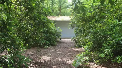 a garage obscured by trees with a driveway at Mezenhof in Brasschaat
