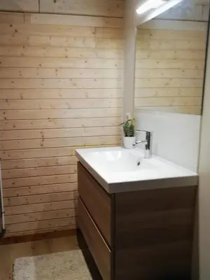 a bathroom with a sink and a mirror at Mezenhof in Brasschaat