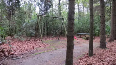 a swing set in the middle of a forest at Mezenhof in Brasschaat