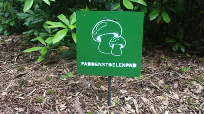 a green sign in the grass with a helmet on it at Mezenhof in Brasschaat