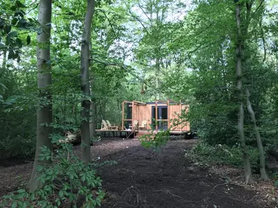 a cabin in the woods with trees at de Swaenhoeve in Zoersel