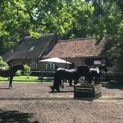 de Swaenhoeve