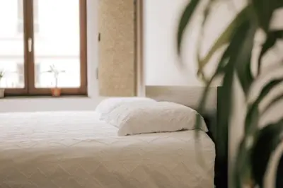 a bed with white sheets and a plant in a room at Cozy Apartment in Brussels in Brussels