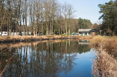a river with trees and a house in the background at Camping het Swinnenbos in Diest
