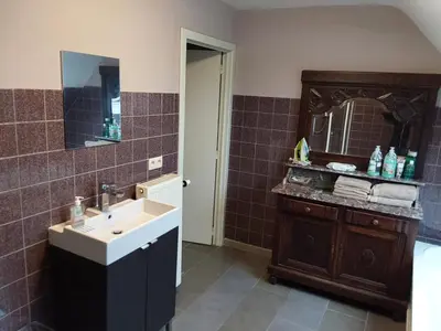 a bathroom with a sink and a mirror at loft/appartement golden dragon in Dessel