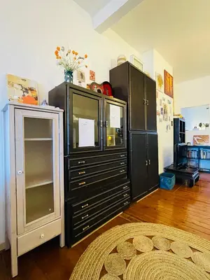 a large black cabinet with glass doors in a room at Quiet and Colorfull Flat in the Center City of Brussels in Brussels