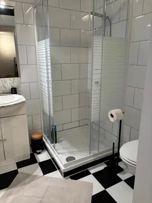 a bathroom with a shower with a sink and a toilet at Coco’s place in Antwerp