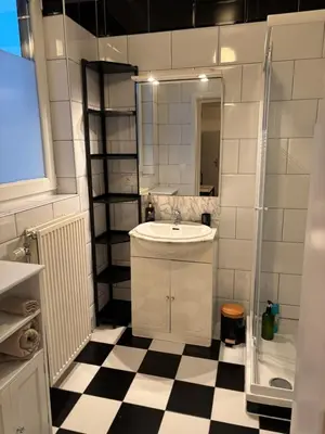 a bathroom with a sink and a mirror at Coco’s place in Antwerp