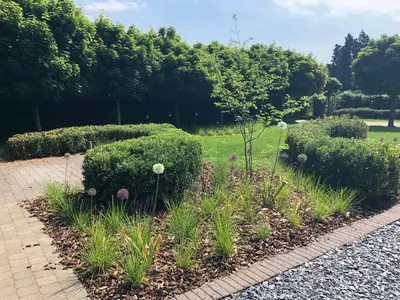 a garden with bushes and flowers on a sidewalk at De Kempische Akker in Westerlo