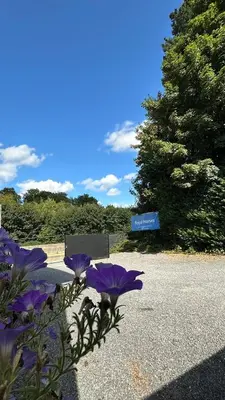 a group of purple flowers sitting in the middle of a road at Royal Horses in Overijse