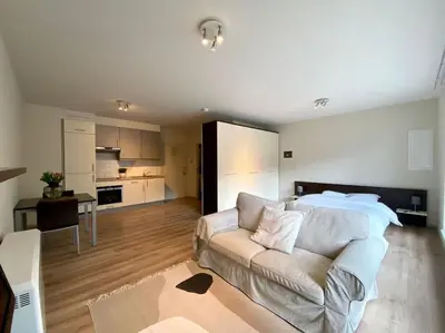 a living room with a couch and a kitchen at Studio hypercentre Bruxelles in Brussels