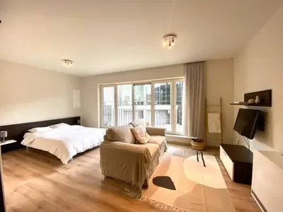 a large bedroom with a bed and a couch at Studio hypercentre Bruxelles in Brussels