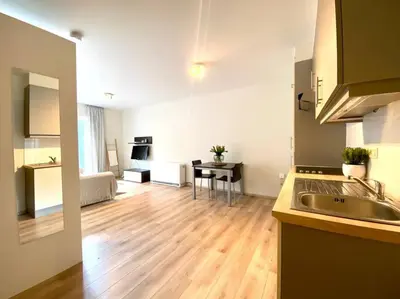 a kitchen with a sink and a living room at Studio hypercentre Bruxelles in Brussels