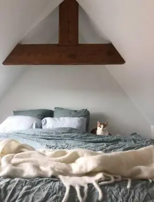 a cat sitting on top of a bed at Beautiful cosy apartments in the heart of Antwerp in Antwerp