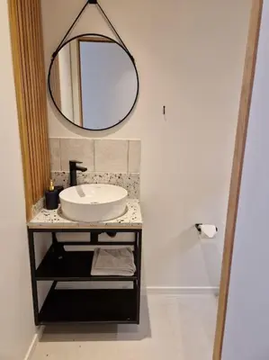 a bathroom with a sink and a mirror at Phoenix in Ghent