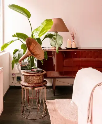 a potted plant sitting on a table next to a desk at Unbeatable Location Explore Ghent on Foot! in Ghent